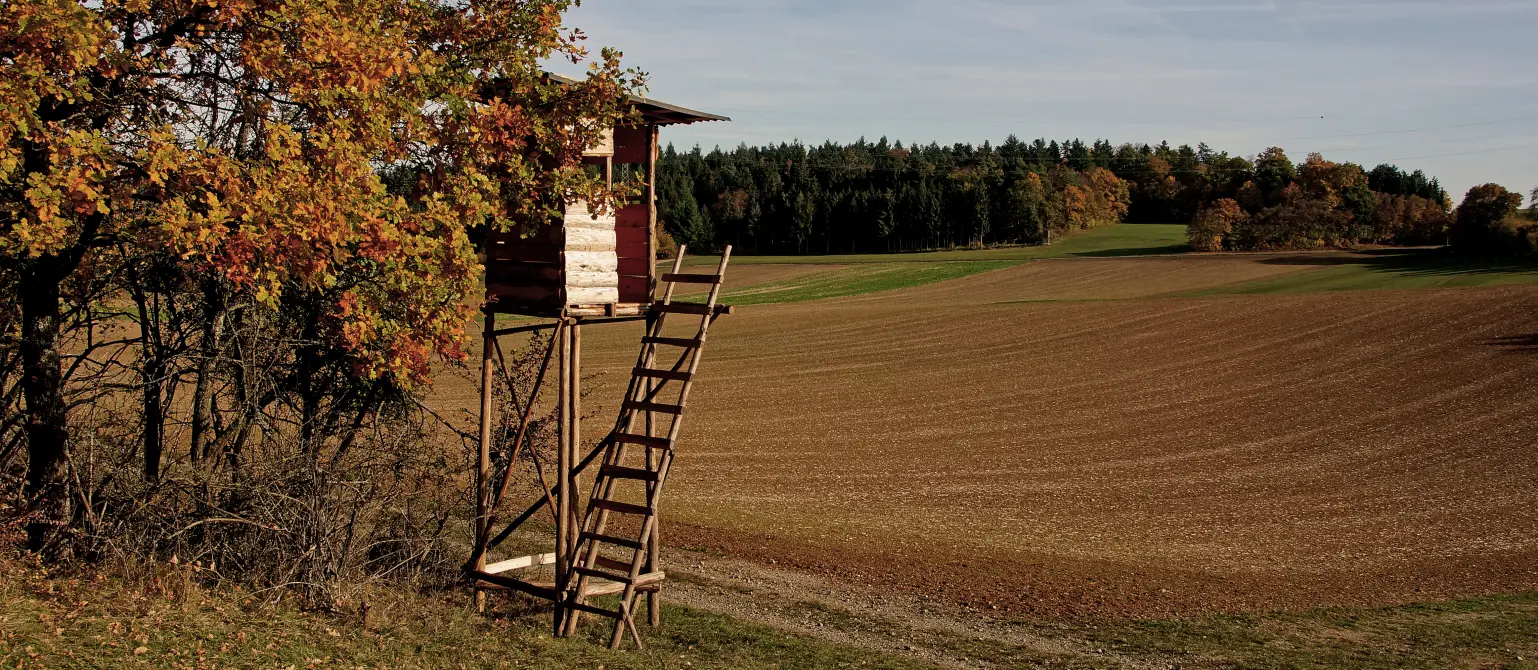 Jägerhäuschen am Feld bei herbstlichem Sommerlicht