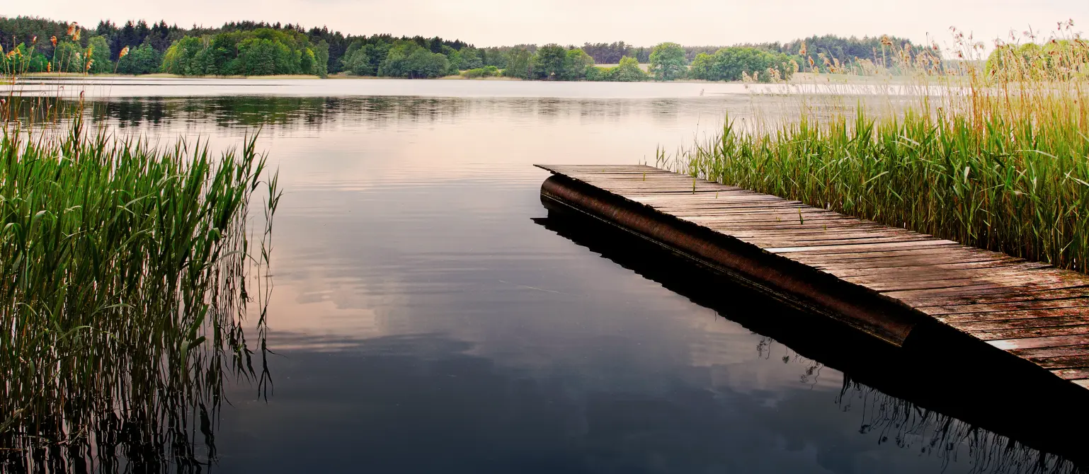 Ein Steg der ins Wasser führt in der Landschaft Brandenburgs