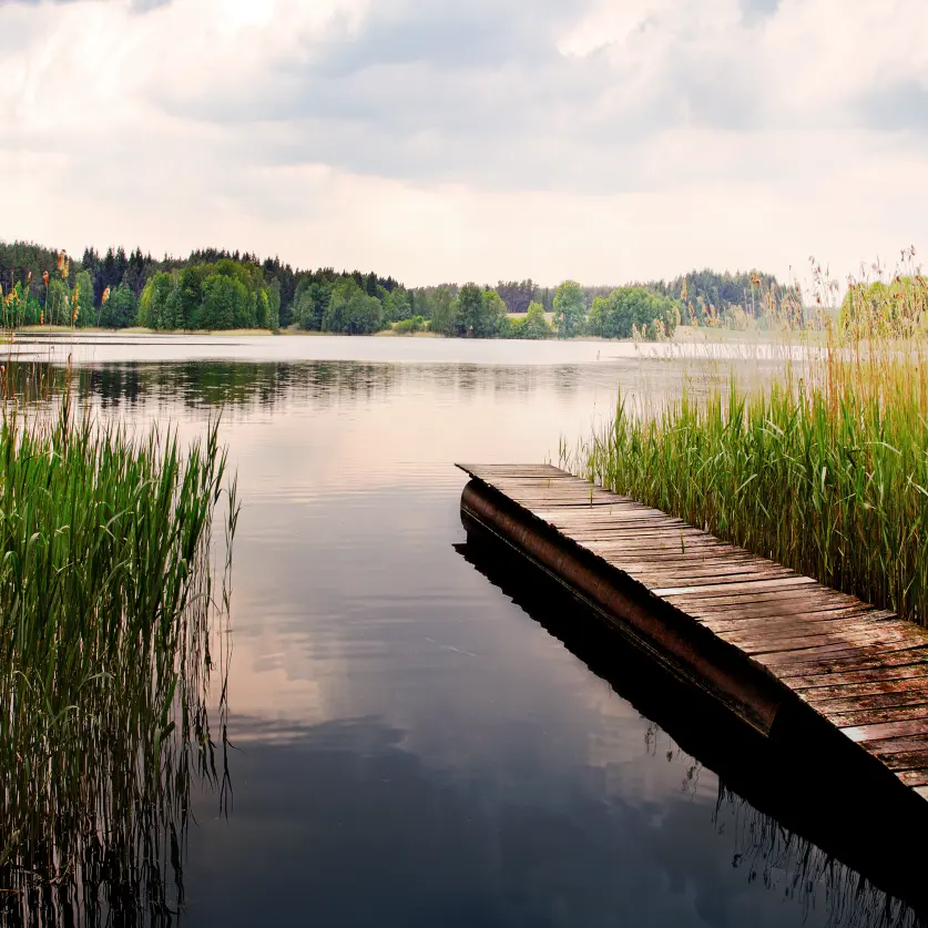 Ein Steg der ins Wasser führt in der Landschaft Brandenburgs