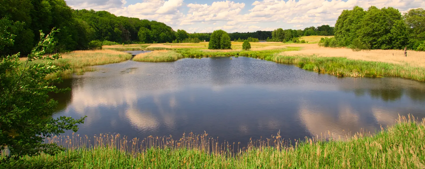 Ein See bei Templin in der Uckermark, umgeben von grünen Bäumen und Wiesen unter einem blauen Himmel mit weißen Wolken.