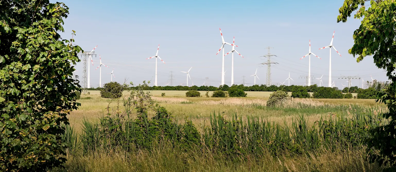 Landschaft in Brandenburg mit Windrädern am Horizont