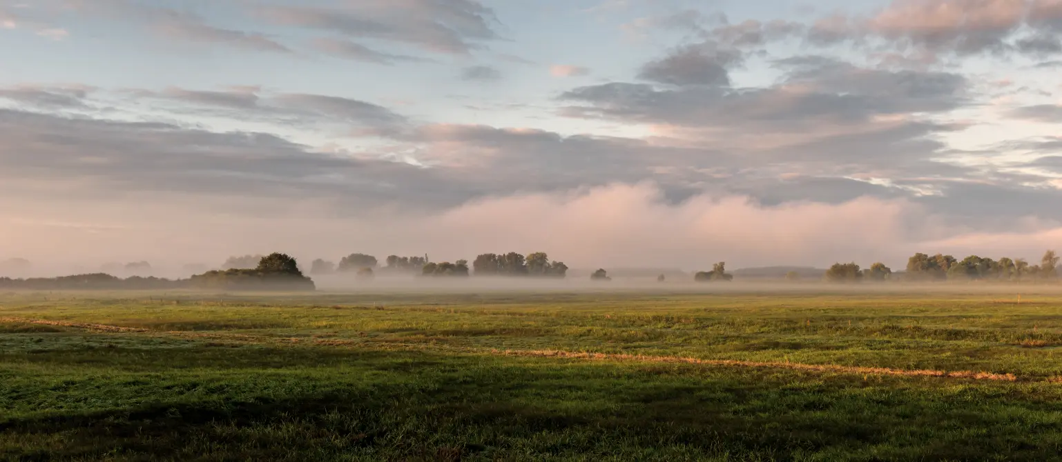 Brandenburger Landschaft bei abendlichem, rosa Licht, vereinzelten Wolken und Nebel über der Wiese