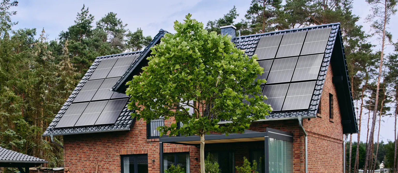 Baum steht vor einem Einfamilienhaus mit Solarpanelen