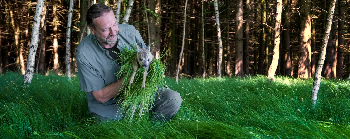 Person kniet im hohen Gras eines Waldrands und hält ein in frisches Grün gewickeltes Rehkitz behutsam fest.