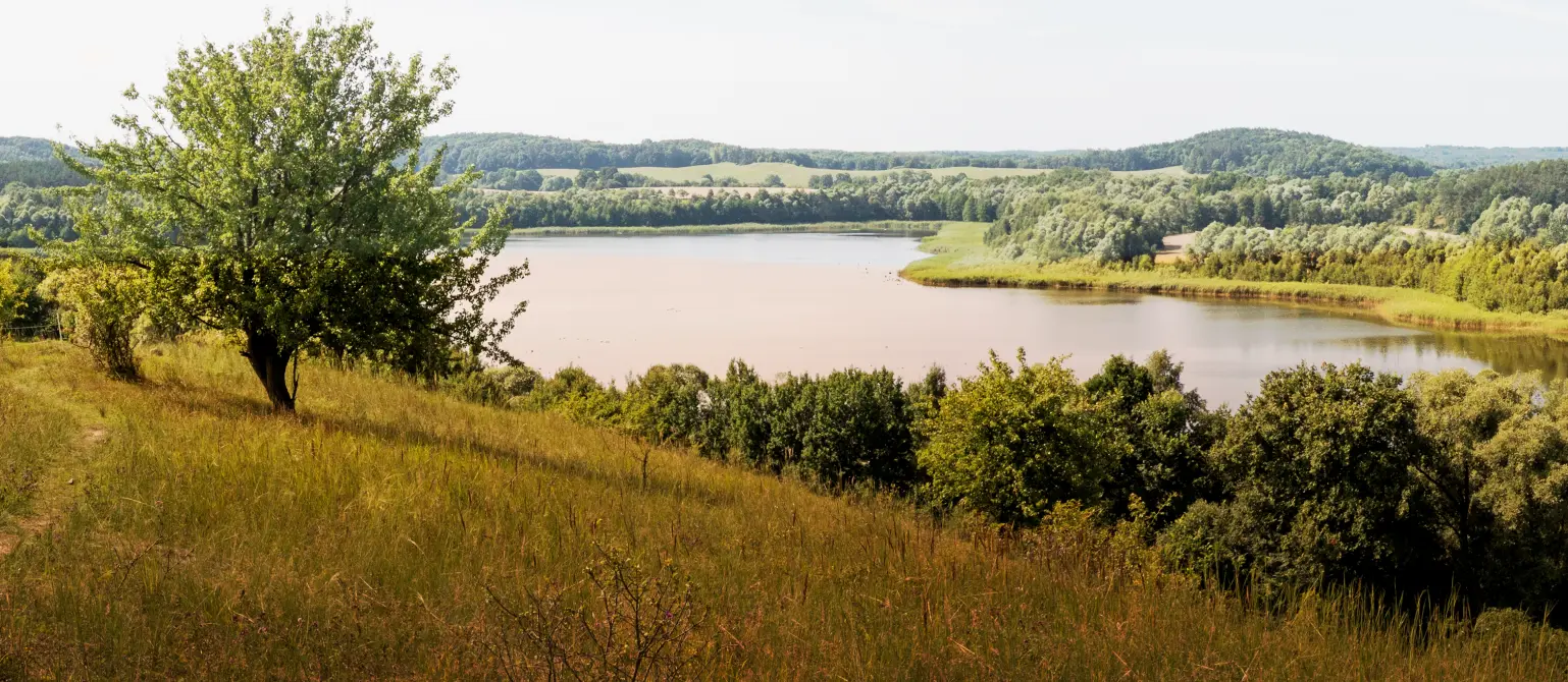 Landschaft Brandenburgs mit einem Fluss
