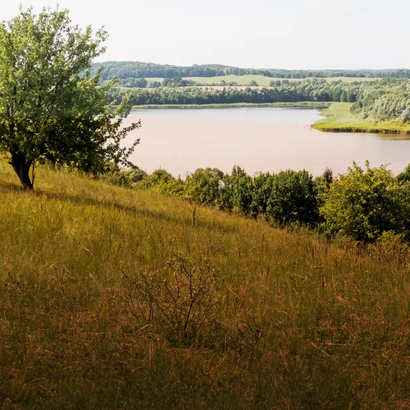 Landschaft Brandenburgs mit einem Fluss