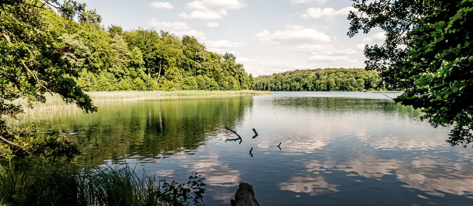 Liepnitzsee in Brandenburg im Sommer. Der Himmel spiegelt sich auf der Wasseroberfläche.