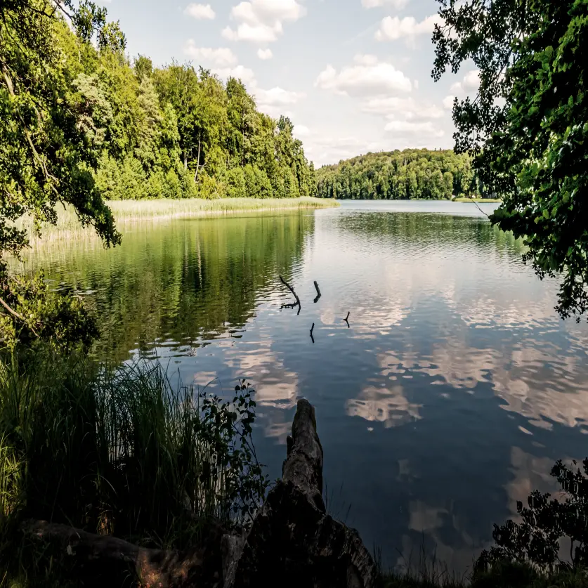 Liepnitzsee in Brandenburg im Sommer. Der Himmel spiegelt sich auf der Wasseroberfläche.