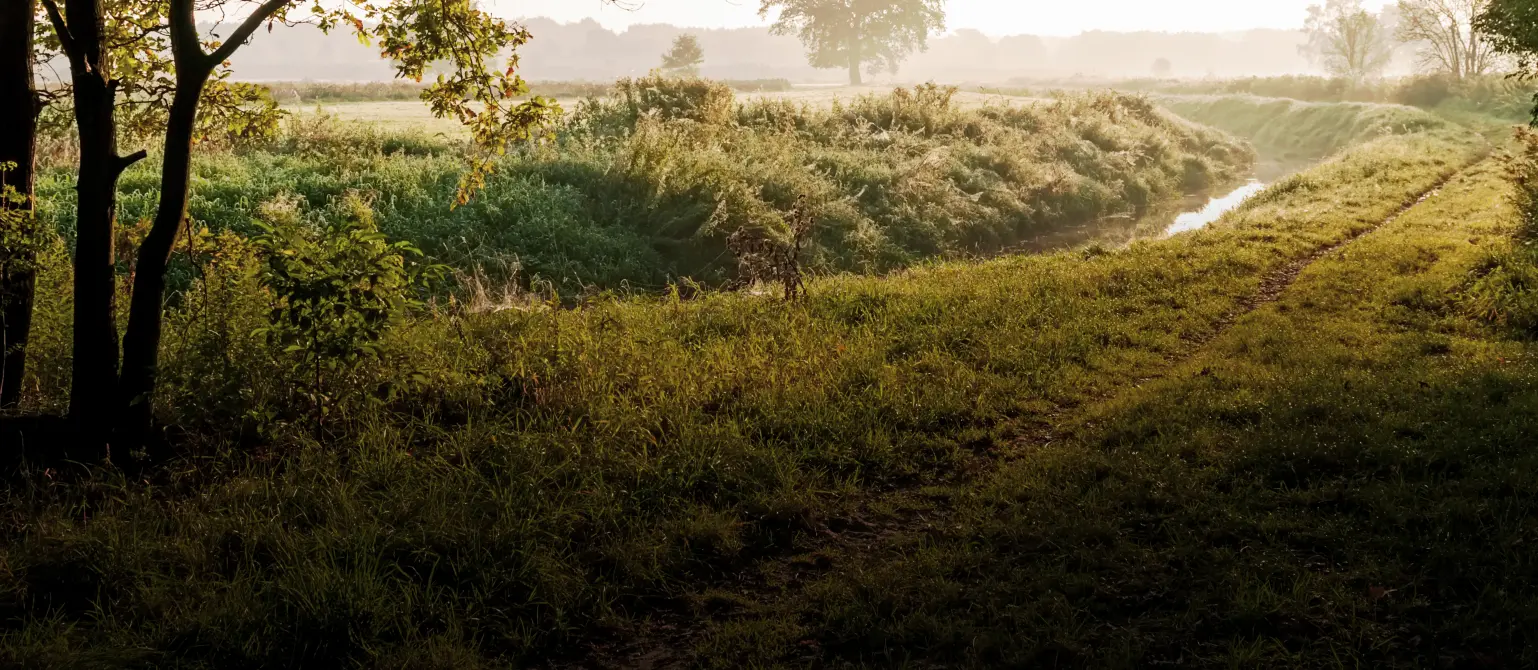 Landschaft in Brandenburg mit Feldern