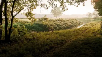 Landschaft in Brandenburg mit Feldern