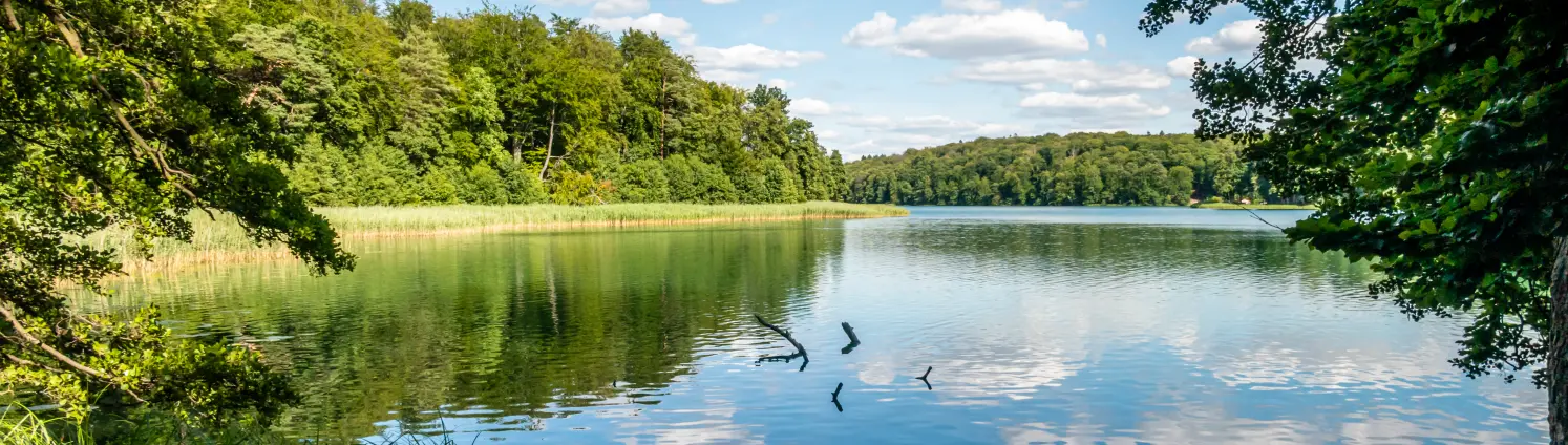 Liepnitzsee in Brandenburg im Sommer. Der Himmel spiegelt sich auf der Wasseroberfläche.