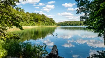 Liepnitzsee in Brandenburg im Sommer. Der Himmel spiegelt sich auf der Wasseroberfläche.