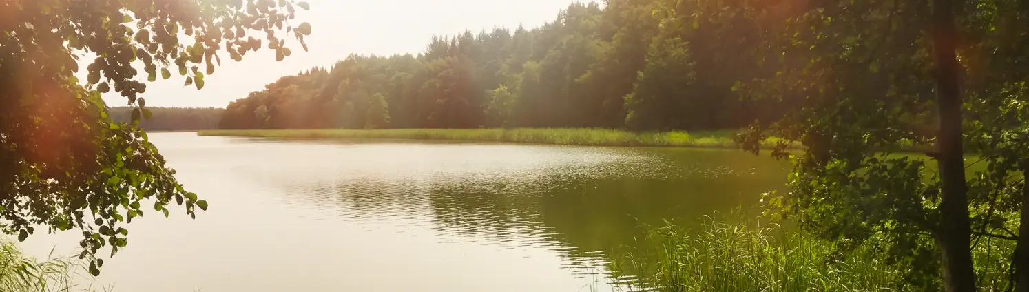 Ein Brandenburger See in bewaldeter Umgebung, am Ufer sind zwei Kanus angeleint.