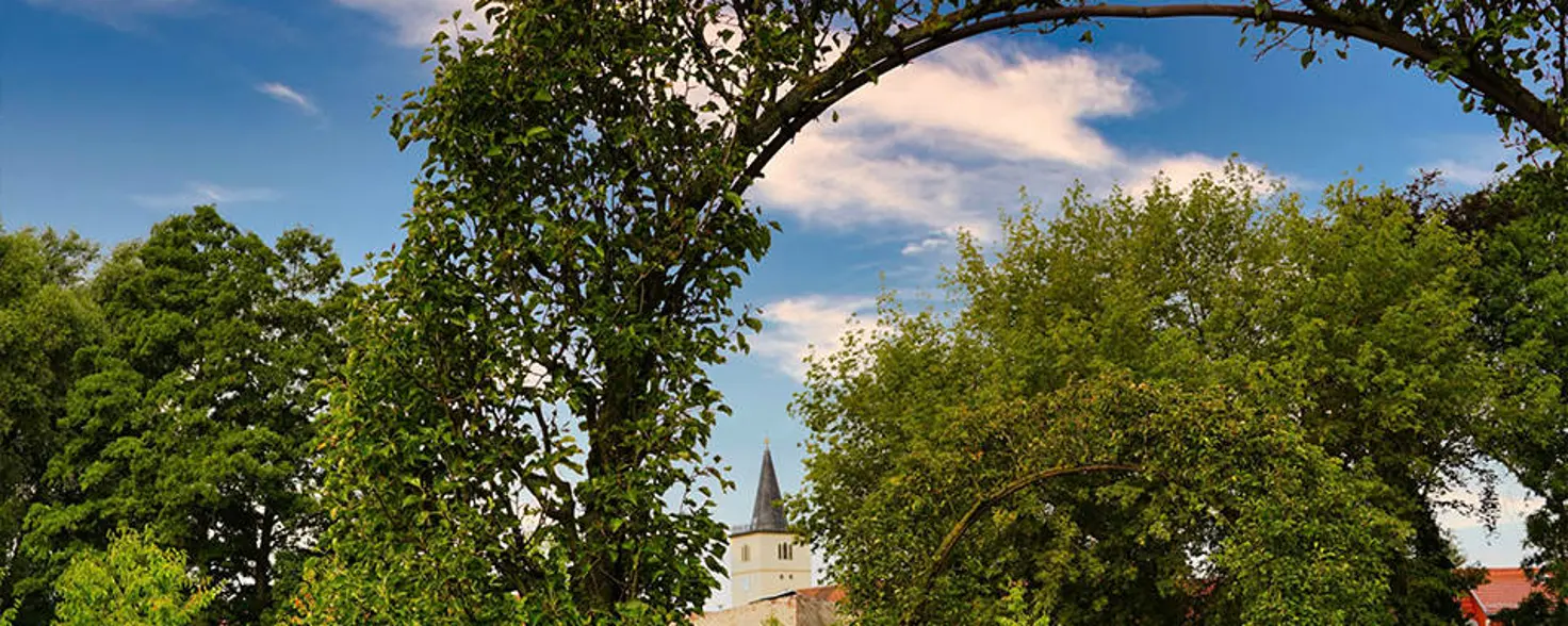 Grüner Landschaftspark in der Altstadt von Beelitz im Sommer.