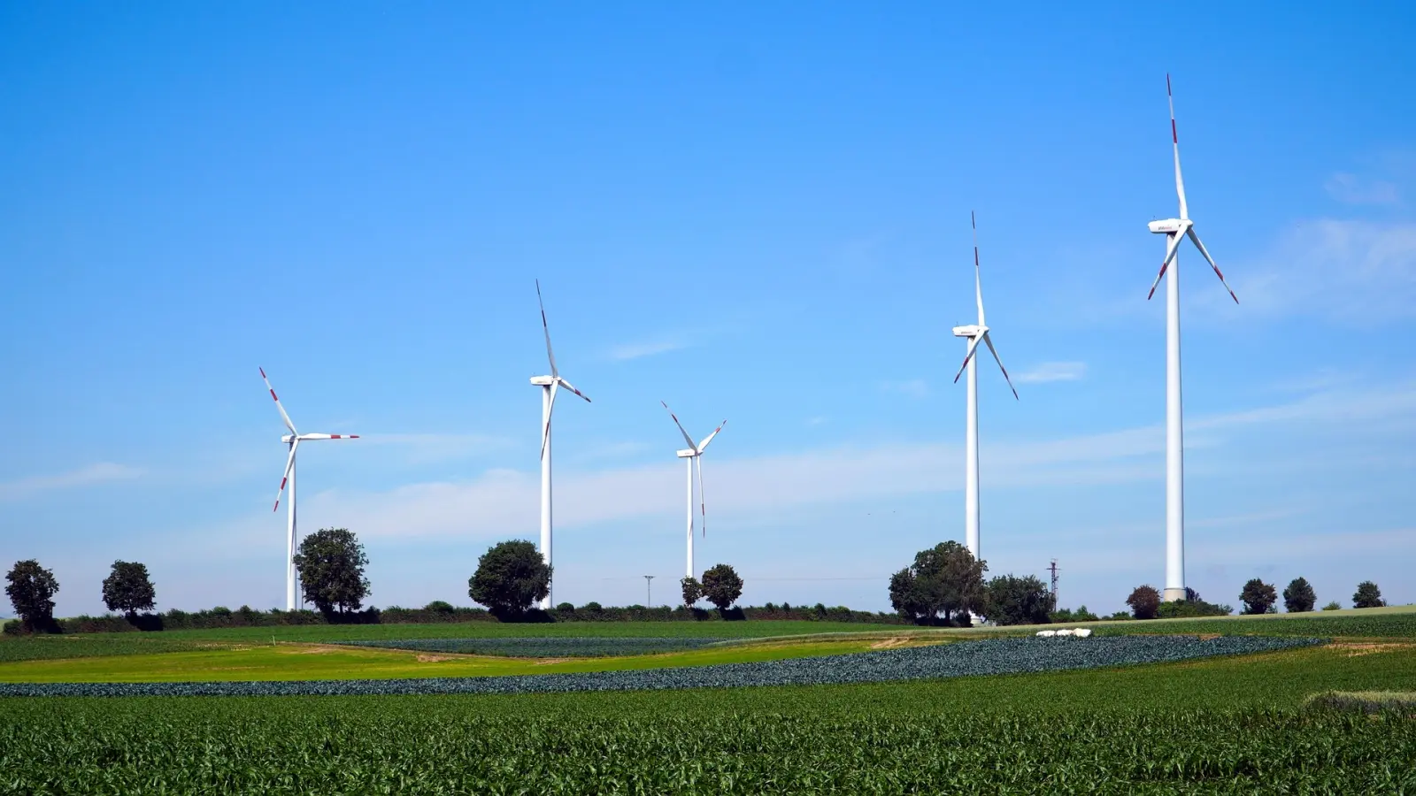 Mehrere Windräder auf grünen Feldern vor blauem Himmel, dazwischen Bäume.