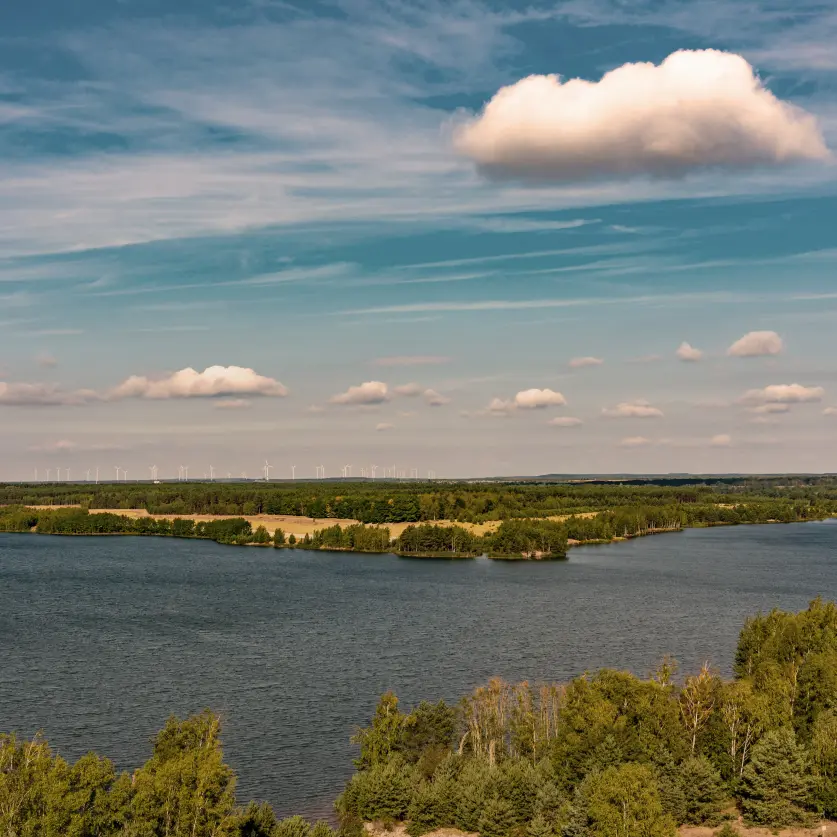 Luftaufnahme der Lausitzer Seenplatte mit blauem See, umgeben von dichtem Wald und Wiesen unter einem Himmel mit vereinzelten weißen Wolken