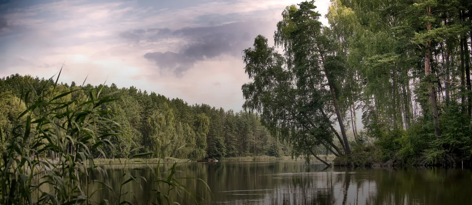Brandenburger Lausitz: Spiegelnder See inmitten dichter grüner Wälder unter einem leicht bewölkten Sommerhimmel.
