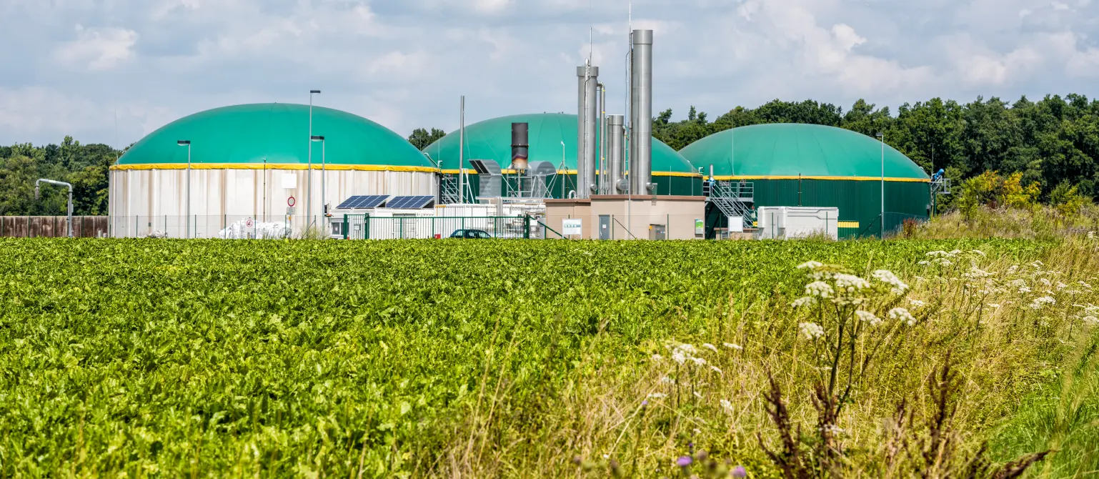 Biogasanlage mit grünen Fermentern und technischen Anlagen am Rand eines landwirtschaftlichen Feldes.