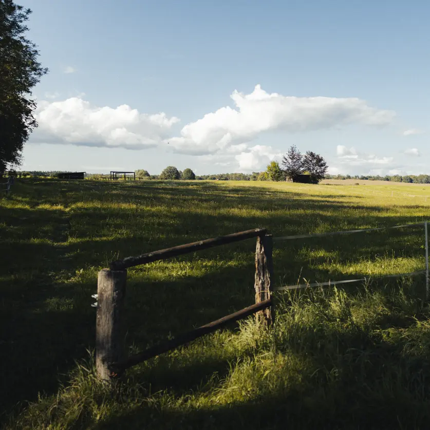 Grüne Landschaft bei Sonnenschein und einem Holzzaun im Vordergrund