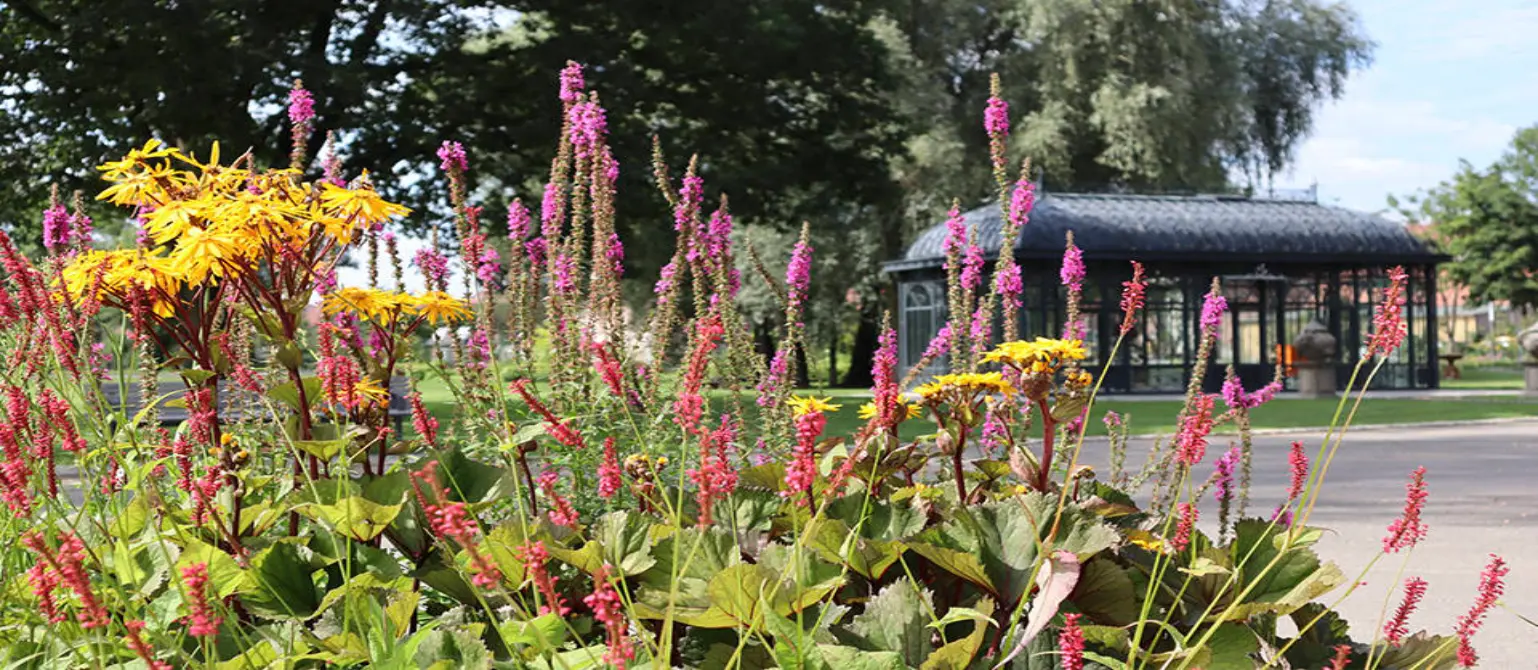 Landesgartenschau Beelitz: Ein Beet aus bunten Blumen im Vordergrund. Im Hintergrund alte Bäume und ein historischer Pavillon aus Glas und Stahl.