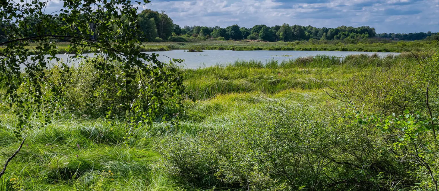Brandenburg: Der Naturpark Uckermärkische Seen inmitten einer wasserreichen, sanft gewellten Landschaft.