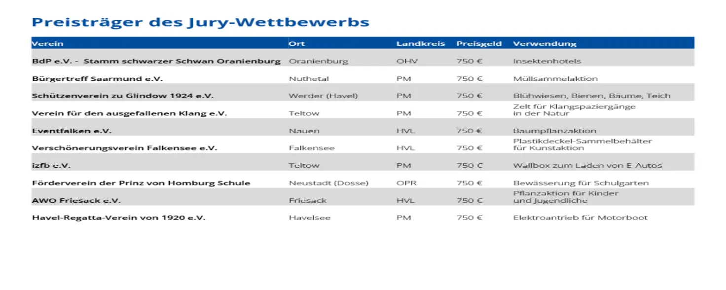 Tabelle: Preisträgerinnen und Preisträger des Jury-Wettbewerbs der VereinsEnergie Brandenburg 2023.