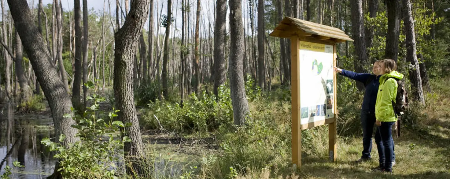 Wildnispfad Lieberose: Zwei Personen in Outdoorkleidung stehen vor einer Infotafel am Wegrand.
