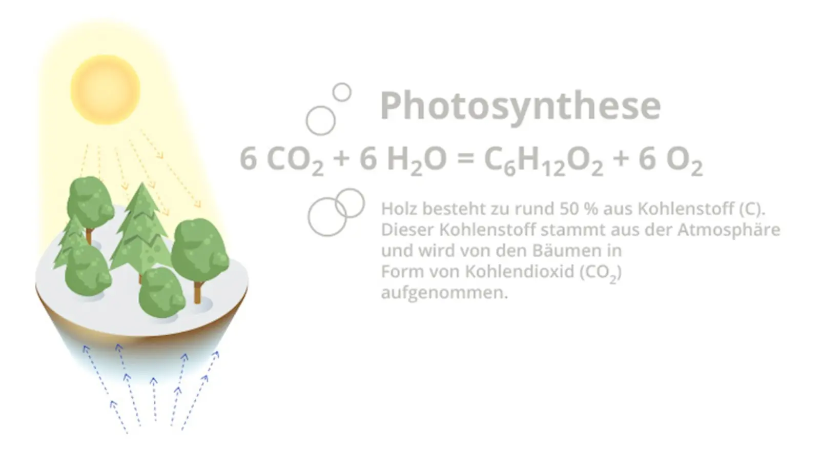 Infografik: Zeigt die chemische Gleichung der Photosynthese und den Text: Kohlenstoff wird von Bäumen in Form von CO2 aufgenommen.