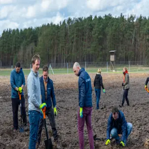 Sieben Mitarbeitende von GASAG mit Schaufeln und Hacken bepflanzen ein künftiges Waldstück mit kleinen Baumsetzlingen.