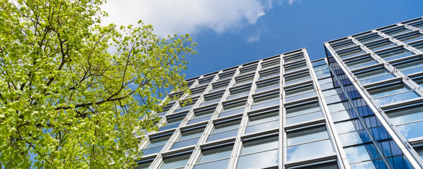 GeweUntersicht: ein Bürogebäude aus Glas und Stahl vor blauem Himmel. Daneben ein grüner Baum.rbegebäude