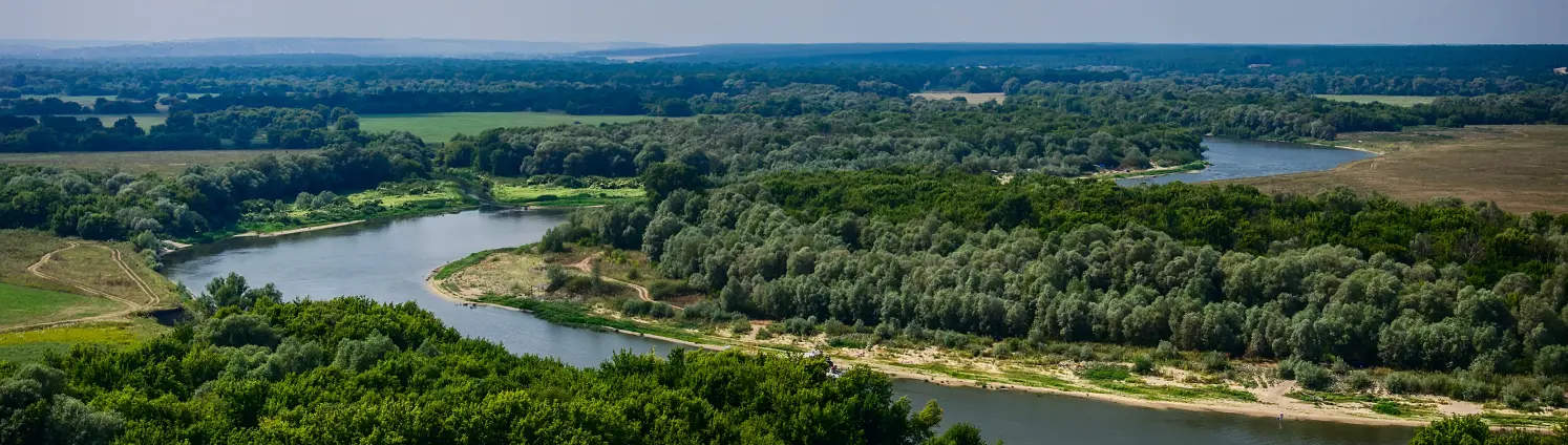 Eine Brandenburger Flusslandschaft mit grünen Wäldern aus der Vogelperspektive.