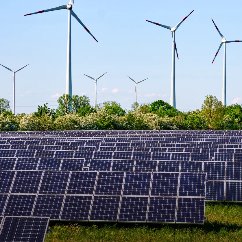 Ein Solarpark auf einer grünen Wiese. Dahinter ein kleiner Wald und acht Windkraftanlagen.