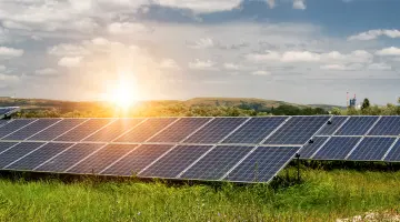 Photovoltaik-Anlage mit Sonnenreflexen auf einer grünen Wiese. Im Hintergrund sanfte Hügel.