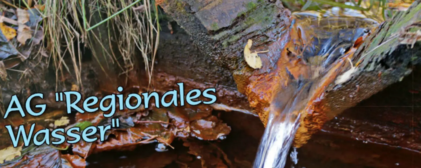 Ein Wasserlauf in der Natur