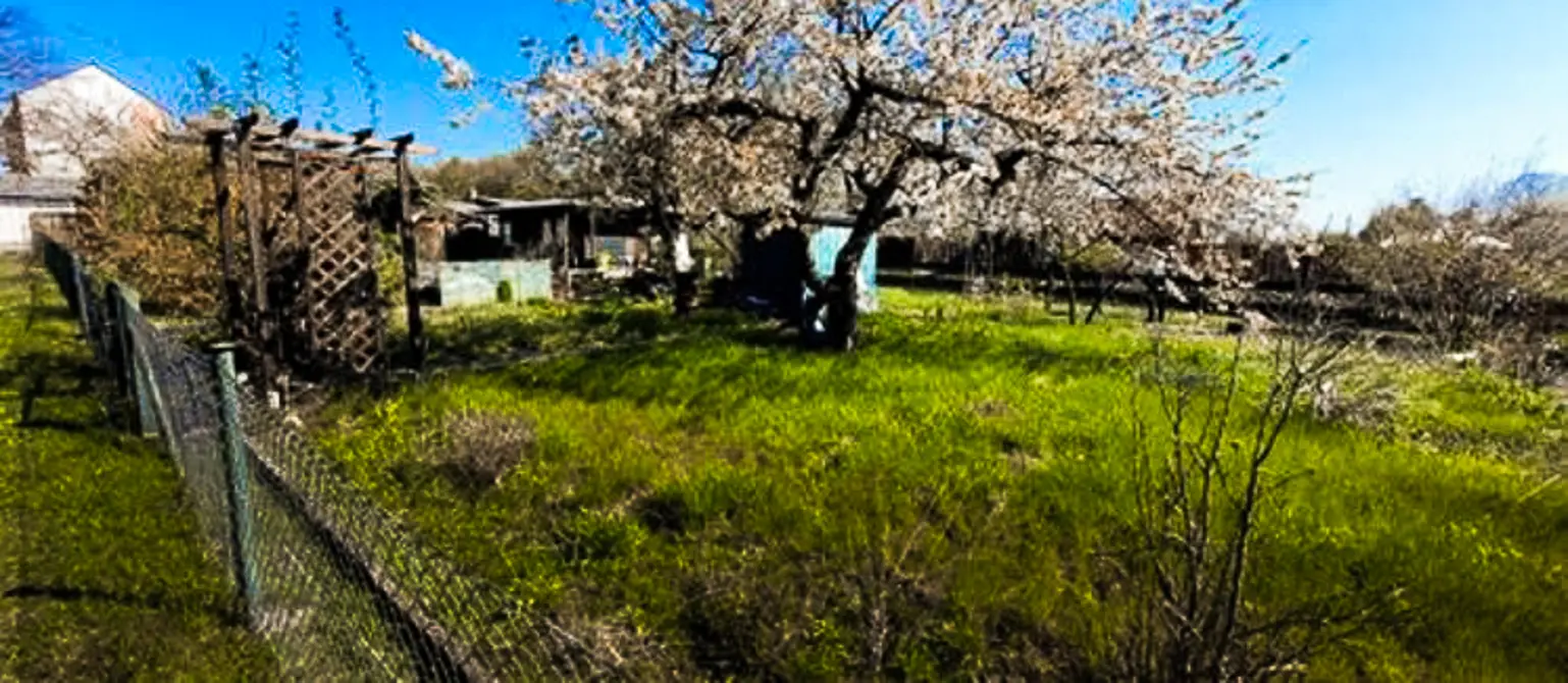 Ein verwilderter Garten
