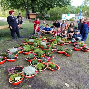 Gruppe von Mitgliedern der Jugendfeuerwehren hat in alten Feuerwehrhelmen bunte Pflanzen eingetopft.