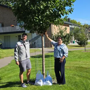 Eine Frau und ein Mann halten ein Schild, das an einem Baum befestigt ist und lächeln in die Kamera.