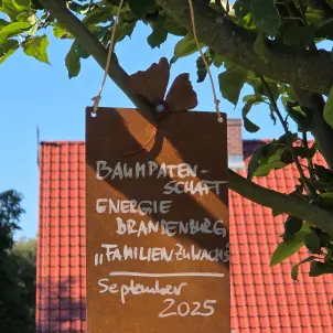 Ein braunes Metallschild, befestigt an dem Ast eines Baumes, mit der Aufschrift: Baumpatenschaft Energie Brandenburg