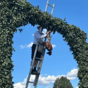Heimatfest Burg: Ein Mann in Tracht mit Hut hängt einen ausgestopften Hahn kopfunter an einen Torbogen.