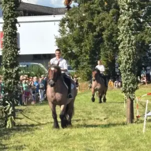 Heimatfest Burg: Zwei Männer in Tracht reiten auf Kaltblüter-Pferden unter geschmückten Bögen durch.
