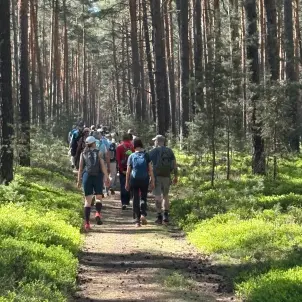 Eine Gruppe an Wanderinnen und Wanderern von hinten in einem Wald zwischen Moos und Bäumen.