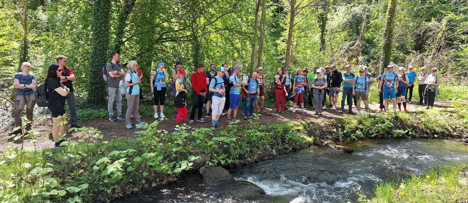 Eine Wandergruppe steht in einem Waldstück an einem kleinen Bach.