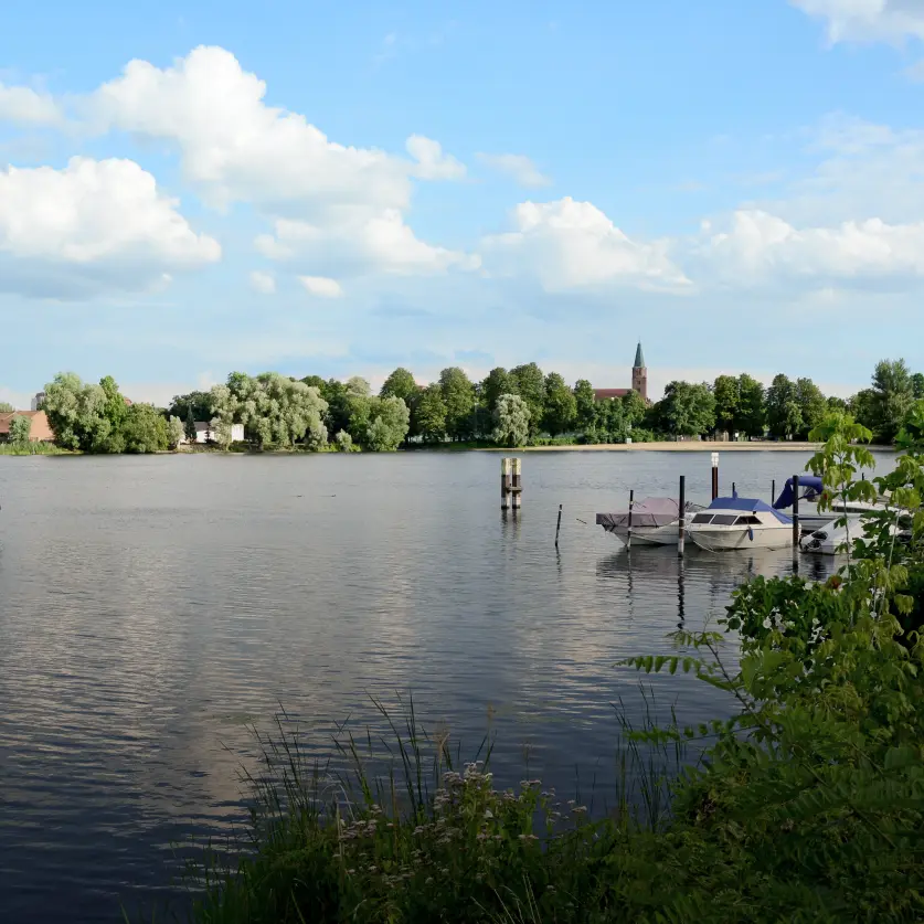 Ein Brandenburger See umgeben von Wald
