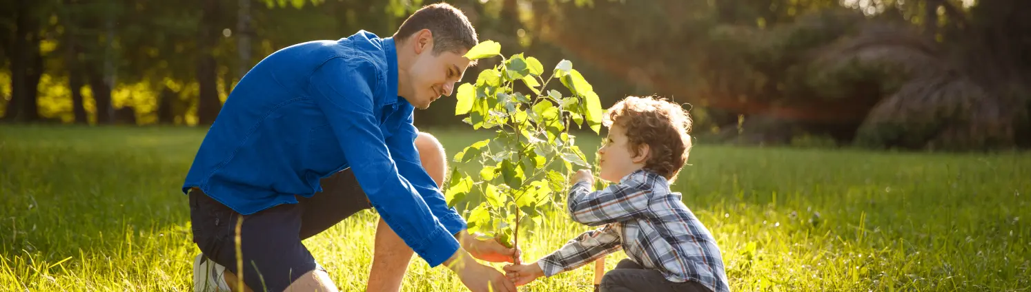 Ein Mann und sein Sohn knien am Boden und pflanzen eine Linde auf einer grünen Wiese. Im Hintergrund Wald.
