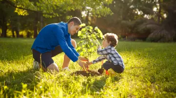 Ein Mann und sein Sohn knien am Boden und pflanzen eine Linde auf einer grünen Wiese. Im Hintergrund Wald.