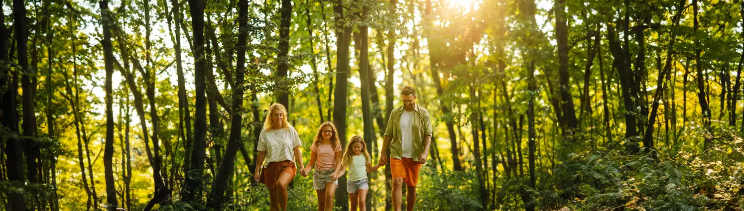 Vater und Mutter gehen mit ihren zwei Töchtern an einem sonnigen Tag im Wald spazieren. Alle tragen Shorts.