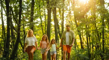 Vater und Mutter gehen mit ihren zwei Töchtern an einem sonnigen Tag im Wald spazieren. Alle tragen Shorts.
