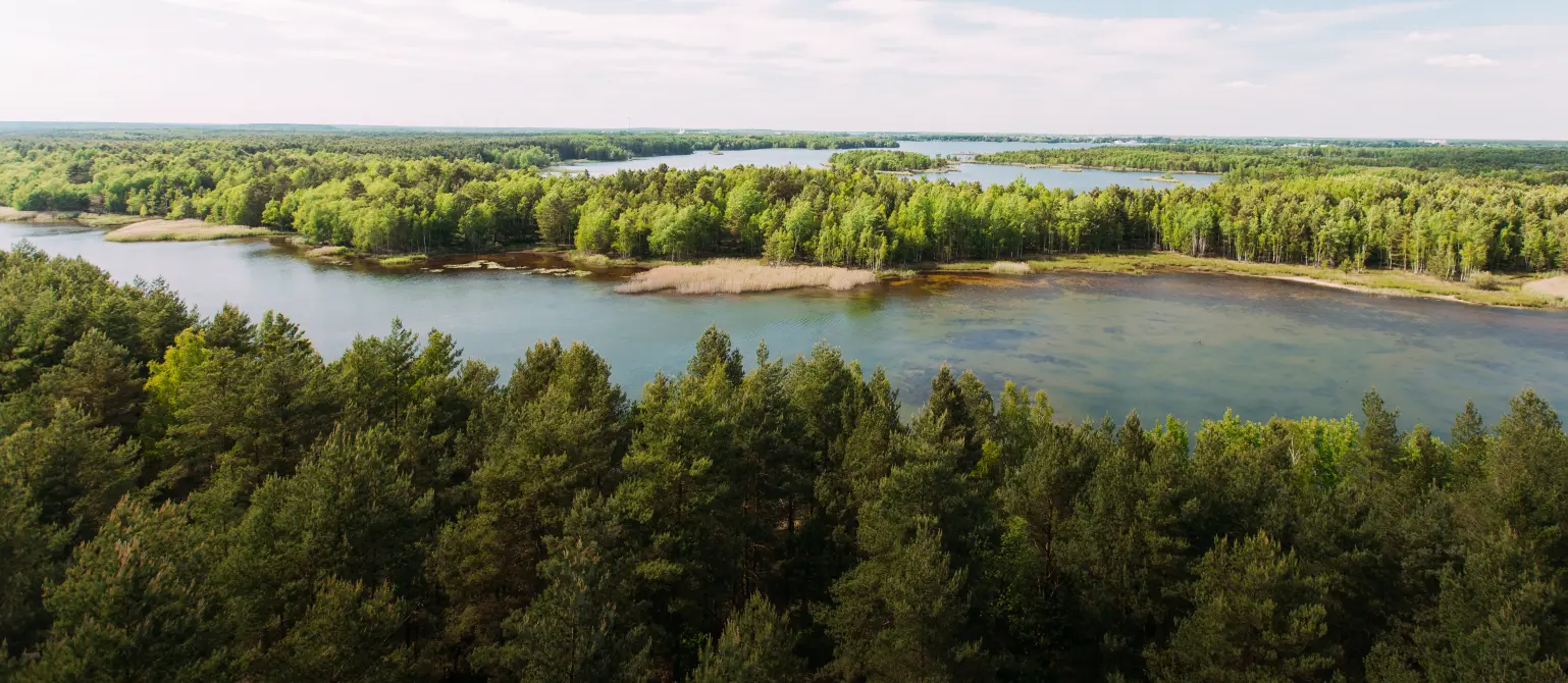 Ein Brandenburger See umgeben von Wald