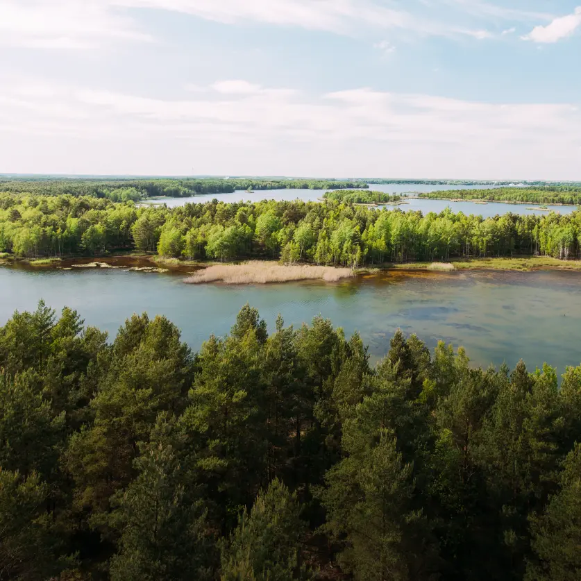 Ein Brandenburger See umgeben von Wald