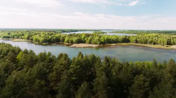 Ein Brandenburger See umgeben von Wald